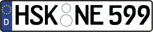 HSK-NE599
