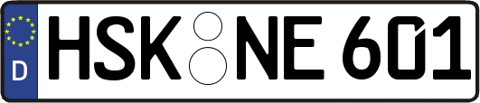 HSK-NE601