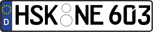 HSK-NE603