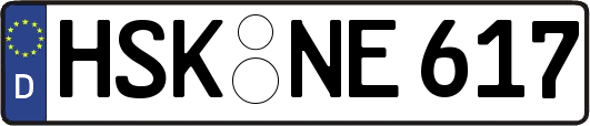 HSK-NE617