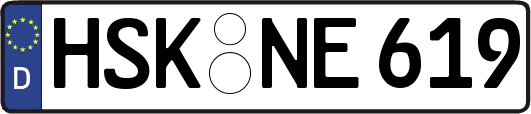HSK-NE619