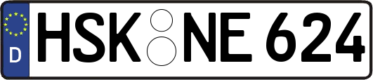 HSK-NE624
