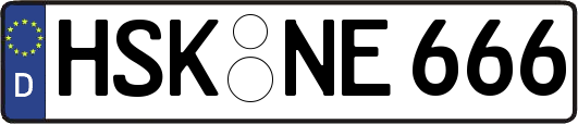 HSK-NE666