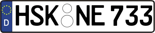 HSK-NE733