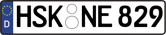 HSK-NE829