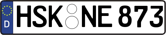 HSK-NE873