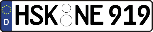 HSK-NE919
