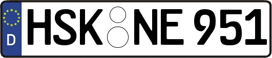 HSK-NE951