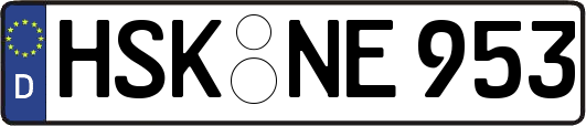HSK-NE953