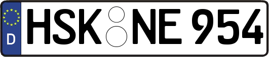 HSK-NE954