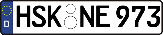 HSK-NE973