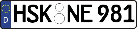 HSK-NE981