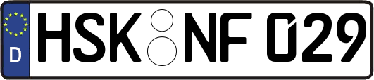 HSK-NF029