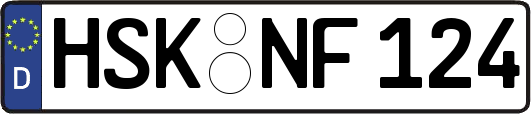 HSK-NF124