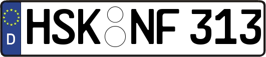HSK-NF313