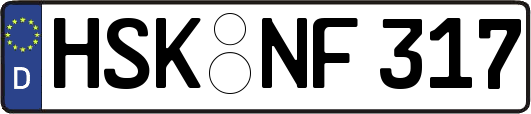 HSK-NF317