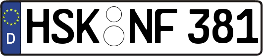 HSK-NF381