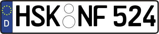 HSK-NF524