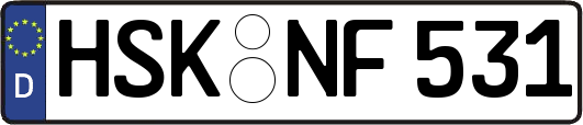 HSK-NF531