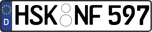 HSK-NF597