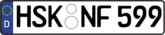 HSK-NF599