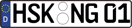 HSK-NG01