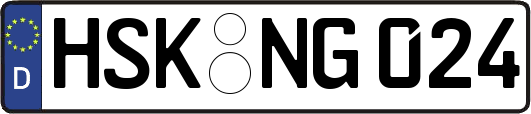 HSK-NG024