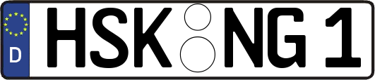 HSK-NG1