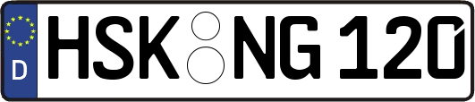 HSK-NG120