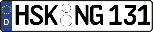 HSK-NG131