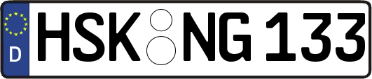 HSK-NG133