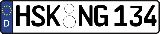 HSK-NG134