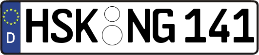 HSK-NG141