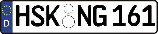 HSK-NG161