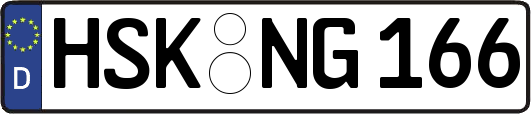 HSK-NG166
