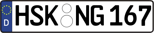 HSK-NG167