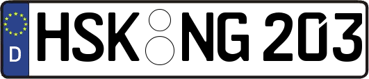 HSK-NG203