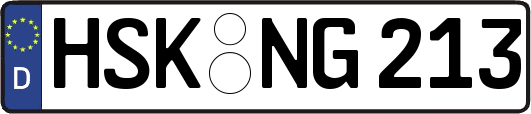 HSK-NG213