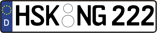 HSK-NG222