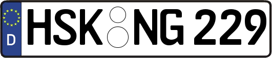 HSK-NG229