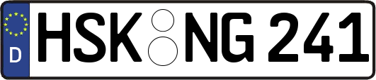 HSK-NG241