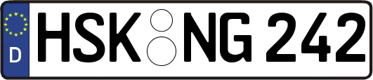 HSK-NG242