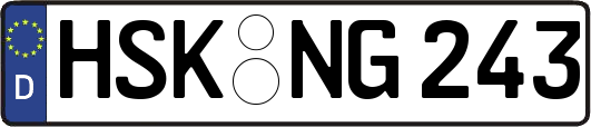 HSK-NG243