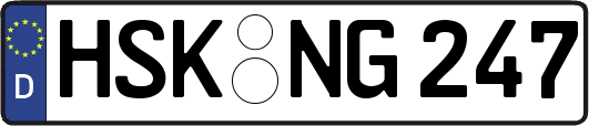 HSK-NG247