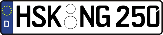 HSK-NG250