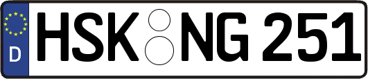 HSK-NG251