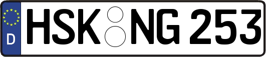 HSK-NG253