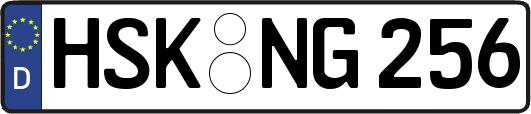 HSK-NG256