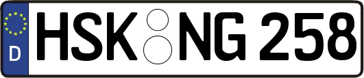 HSK-NG258
