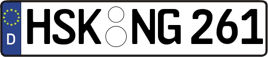 HSK-NG261